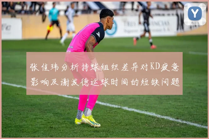 张佳玮分析持球组织差异对KD疲惫影响及谢泼德运球时间的短缺问题