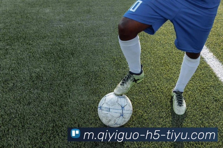 奇异果体育APP 封面图