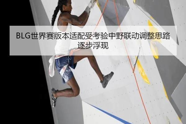 BLG世界赛版本适配受考验中野联动调整思路逐步浮现 - qyg